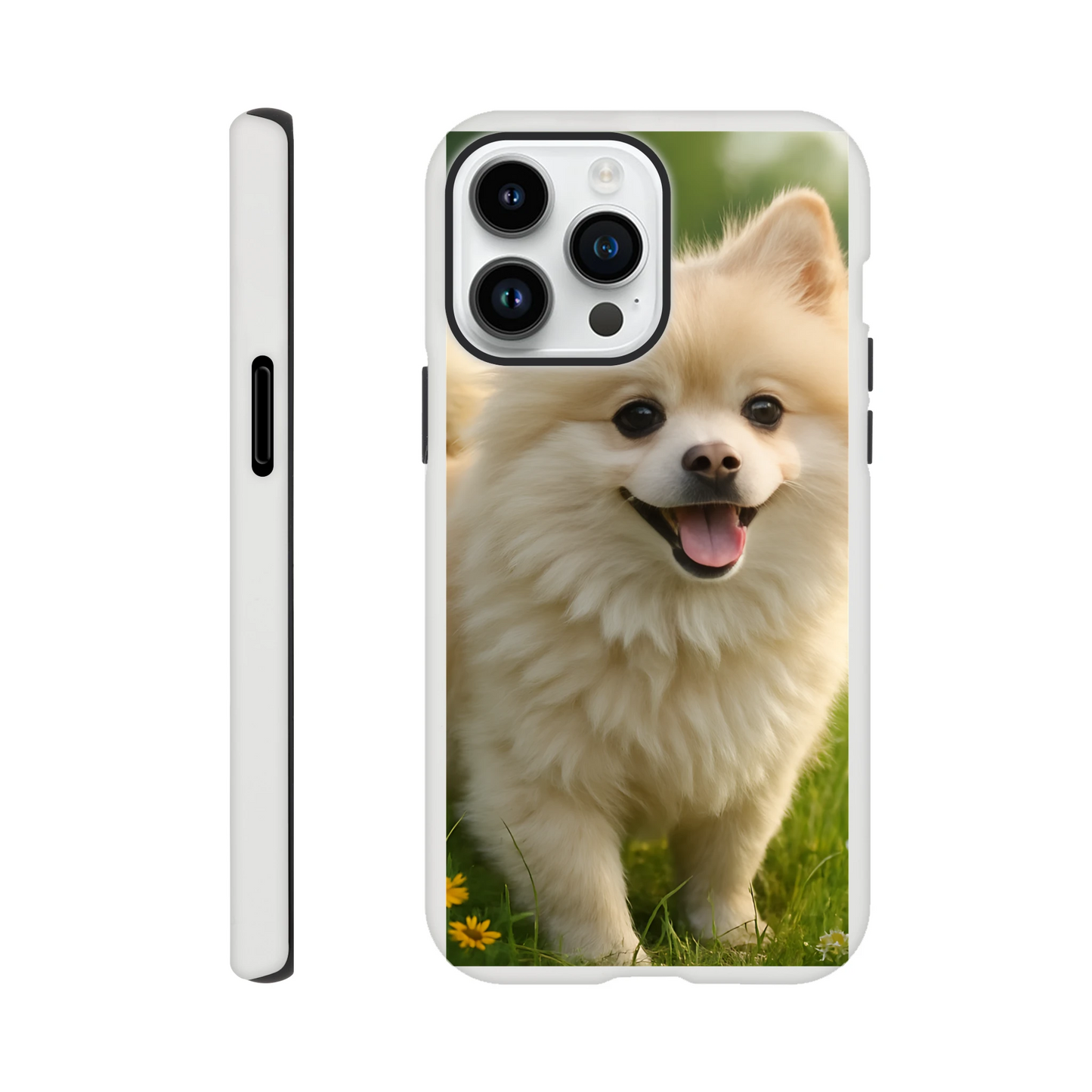 67bd4911-cb74-4c31-9548-b9294ad93253